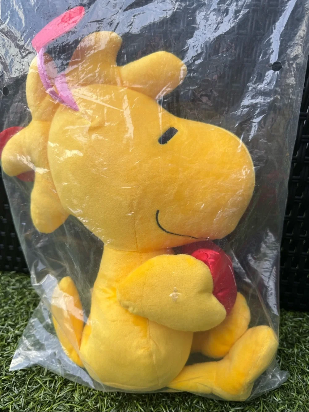 🎀 Peanuts Woodstock Valentine Large 15